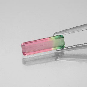 0.74克拉天然双色碧玺，祖母绿式切割，10.3×3.3毫米，VS-SI