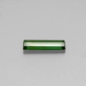 1.60克拉天然绿色碧玺，祖母绿式切割，13.7×4.4毫米，VVS
