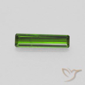 1.40ct 天然 森林绿 碧玺, 祖母绿式切割, SI