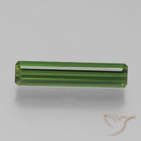 1.75ct 天然 森林绿 碧玺, 祖母绿式切割, VVS