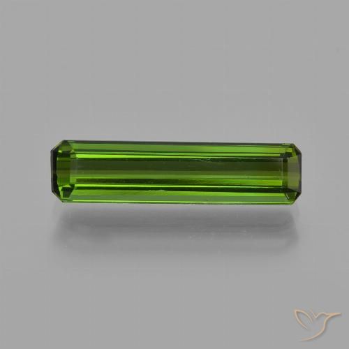 1.54ct 天然 森林绿 碧玺, 祖母绿式切割, VS