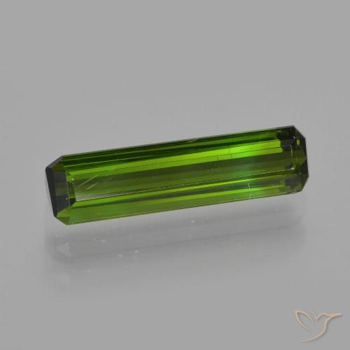 1.67ct 天然 森林绿 碧玺, 祖母绿式切割, VVS-VS