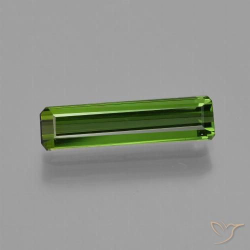 1.11ct 天然 森林绿 碧玺, 祖母绿式切割, VVS-VS
