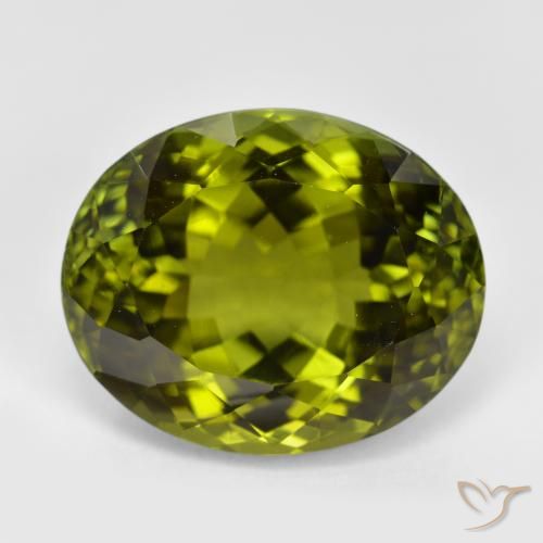 12.25ct 天然 深绿色 碧玺, 椭圆形, VVS-VS
