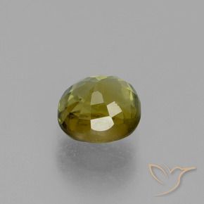 0.81克拉天然碧玺，椭圆形，VS-SI