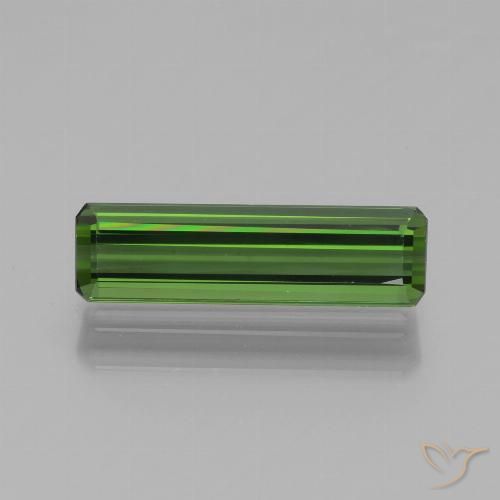 1.39ct 天然 森林绿 碧玺, 祖母绿式切割, VVS