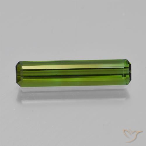 1.08ct 天然 森林绿 碧玺, 祖母绿式切割, VVS-VS
