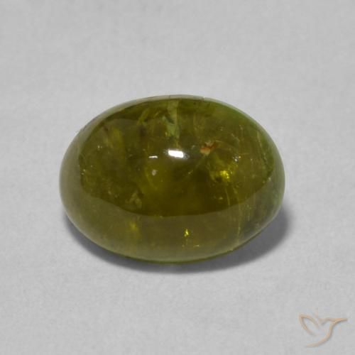 1.31ct 天然 深绿色 碧玺, 椭圆形, 透明