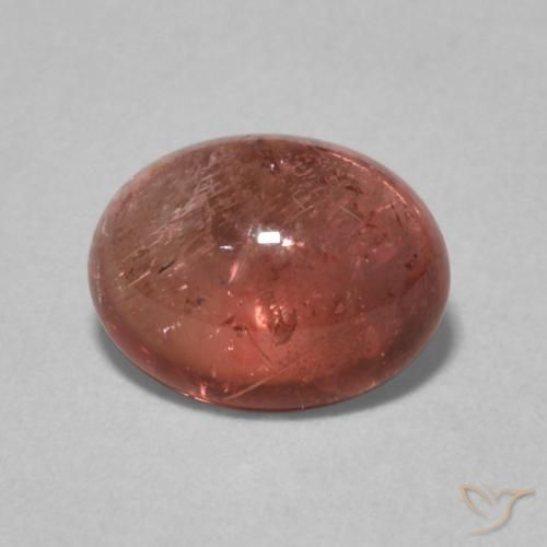 1.59ct 天然 中红 碧玺, 椭圆形, 透明