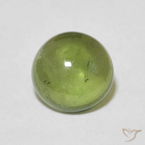 1.57ct 天然 浅森林绿 碧玺, 圆形的, 透明