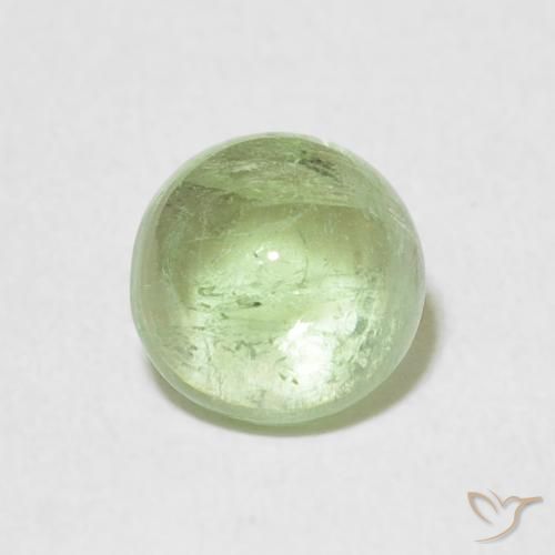 1.29ct 天然 非常浅的鼠尾草绿色 碧玺, 圆形的, 透明