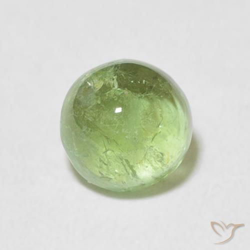 1.54ct 天然 黄绿色 碧玺, 圆形的, 透明