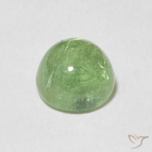1.54克拉天然碧玺，圆形的，透明