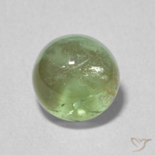 1.35ct 天然 灰绿色 碧玺, 圆形的, 透明