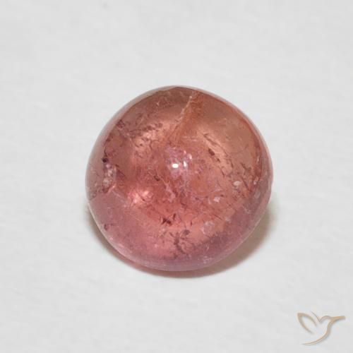 1.00ct 天然 中粉红色 碧玺, 圆形的, 透明