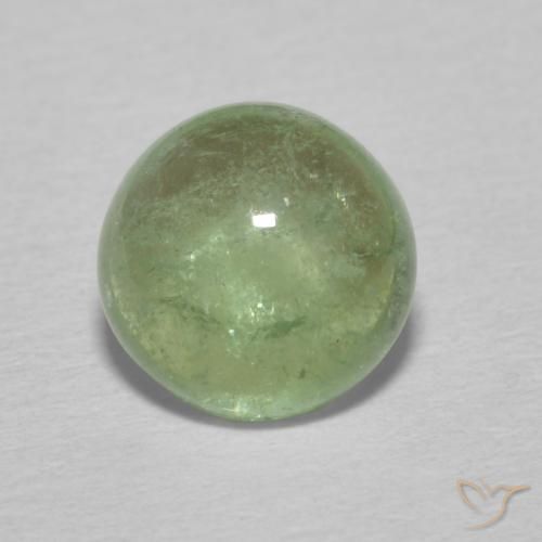 1.49克拉天然碧玺，圆形的，透明