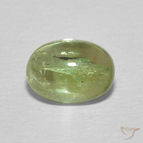 1.55ct 天然 黄绿色 碧玺, 椭圆形, 透明