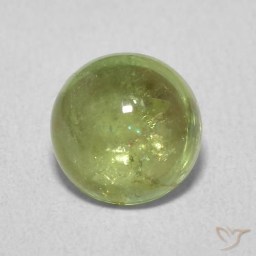 1.61ct 天然 橄榄绿色 碧玺, 圆形的, 透明