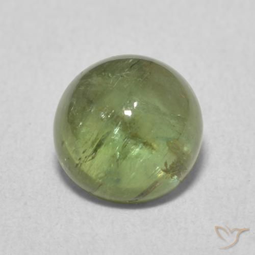 1.72ct 天然 深绿色 碧玺, 圆形的, 透明
