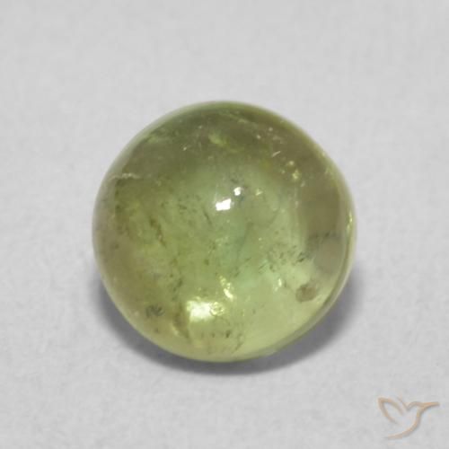 1.06ct 天然 黄绿色 碧玺, 圆形的, 透明