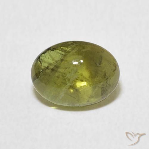 1.37ct 天然 中绿色 碧玺, 椭圆形, 透明
