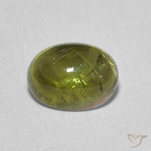 1.29ct 天然 中绿色 碧玺, 椭圆形, 透明