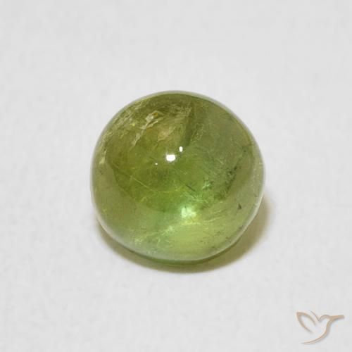 1.24ct 天然 浅绿色 碧玺, 圆形的, 透明