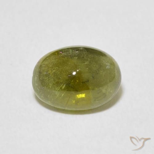 1.29ct 天然 中绿色 碧玺, 椭圆形, 透明