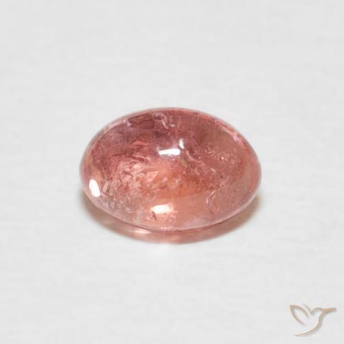 0.62ct 天然 印度红 碧玺, 椭圆形, 透明
