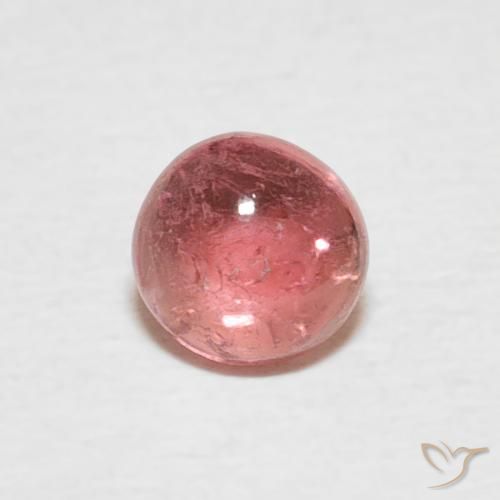 0.59ct 天然 水果潘趣酒红 碧玺, 圆形的, 透明
