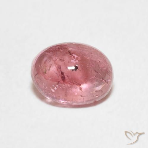 0.80ct 天然 泡泡糖粉色 碧玺, 椭圆形, 透明