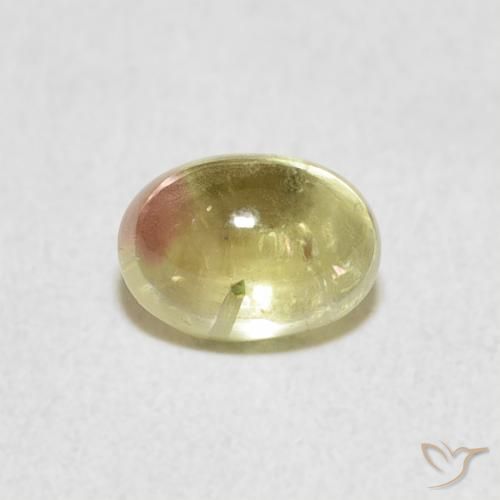 0.96ct 天然 双色 碧玺, 椭圆形, 透明