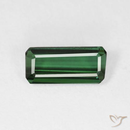 1.56ct 天然 森林绿 碧玺, 祖母绿式切割, VVS-VS
