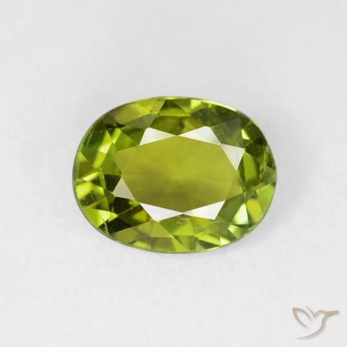 1.52ct 天然 深绿色 碧玺, 椭圆形, VS