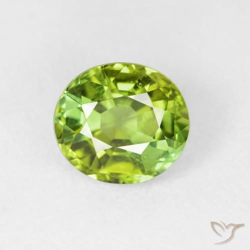 1.65ct 天然 浅活泼的绿色 碧玺, 椭圆形, VVS-VS