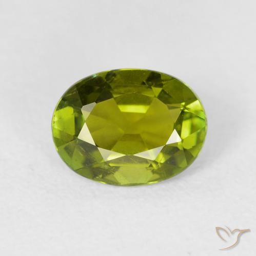 1.49ct 天然 温暖的森林绿 碧玺, 椭圆形, VS
