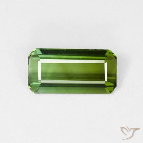 0.99ct 天然 森林绿 碧玺, 祖母绿式切割, VVS-VS