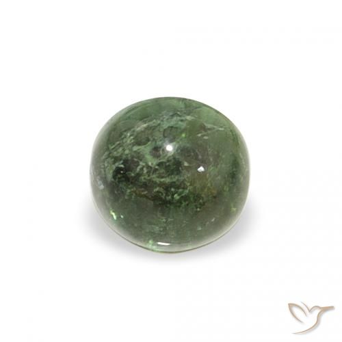 0.66ct 天然 大地绿 碧玺, 圆形的, 透明