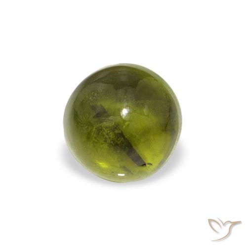 0.67ct 天然 森林绿 碧玺, 圆形的, 透明