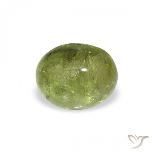0.79ct 天然 中绿色 碧玺, 椭圆形, 透明