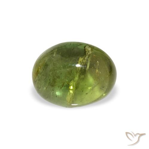 1.45ct 天然 中绿色 碧玺, 椭圆形, 透明