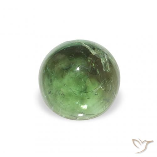 0.58ct 天然 大地绿 碧玺, 圆形的, 透明