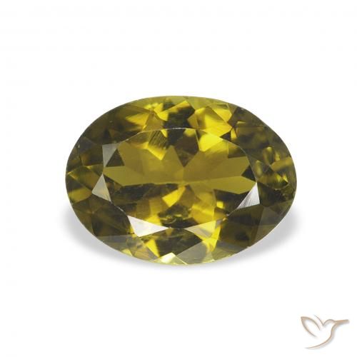 1.01ct 天然 暗绿色 碧玺, 椭圆形, VS