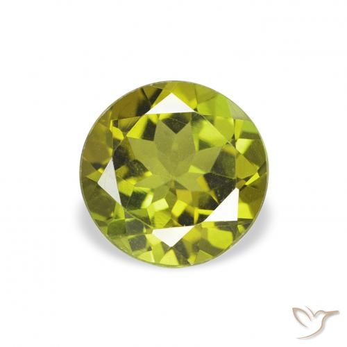 0.89ct 天然 温暖的森林绿 碧玺, 圆形的, VVS-VS