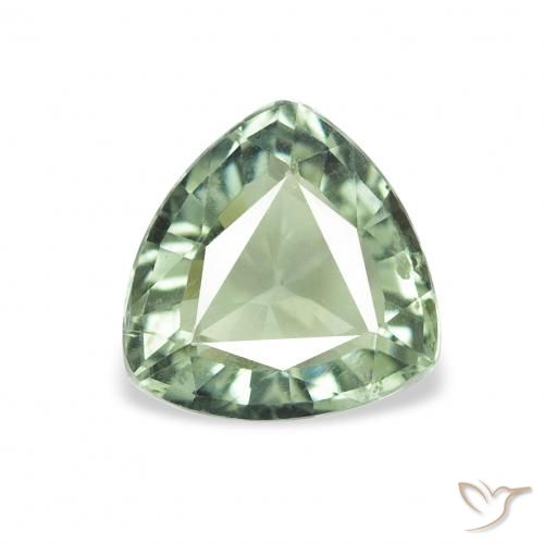 0.98ct 天然 苔绿色 碧玺, 胖三角形, VVS