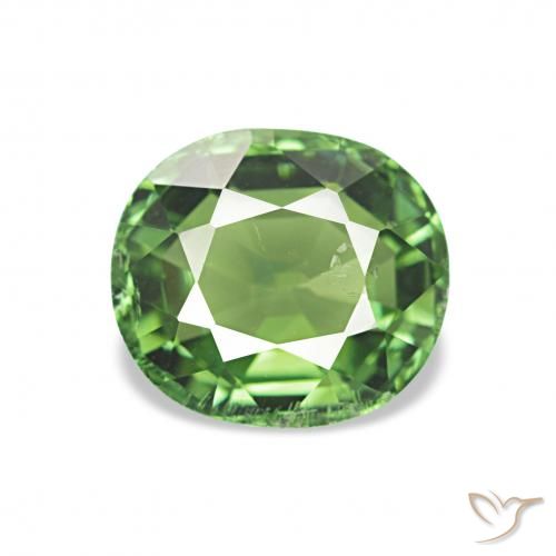1.32ct 深绿色 碧玺 宝石, 椭圆形, VS
