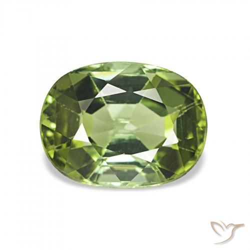 1.65ct 森林绿 碧玺, 软垫, VS