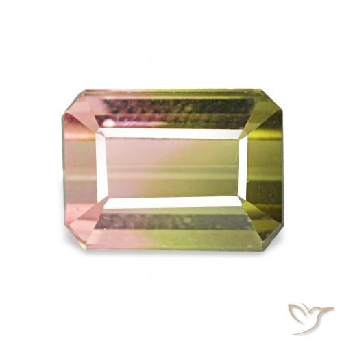 1.63ct 西瓜红 碧玺, 祖母绿式切割, VVS-VS