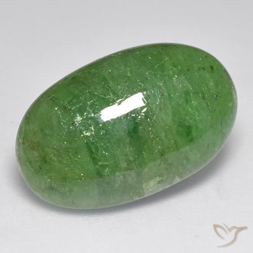 10.96ct 天然 中绿色 沙弗莱石榴石, 椭圆形, 半透明