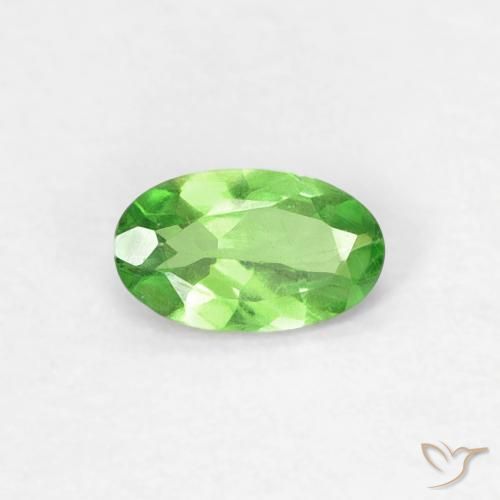 0.25ct 天然 充满活力的绿色 沙弗莱石榴石, 椭圆形, VVS-VS